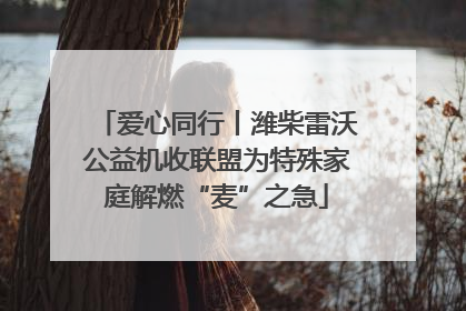 爱心同行丨潍柴雷沃公益机收联盟为特殊家庭解燃“麦”之急