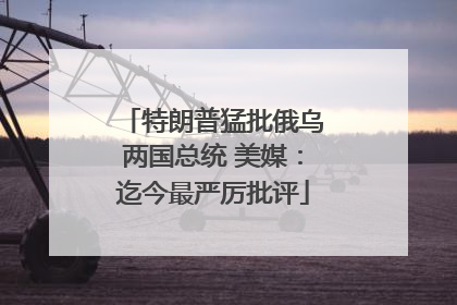 特朗普猛批俄乌两国总统 美媒：迄今最严厉批评