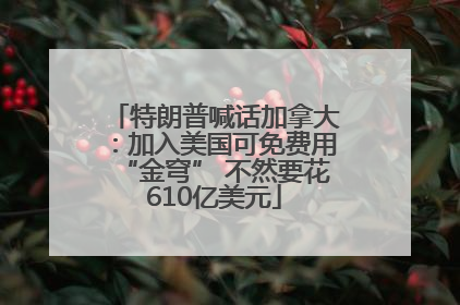 特朗普喊话加拿大：加入美国可免费用“金穹” 不然要花610亿美元