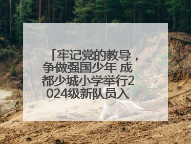 牢记党的教导，争做强国少年 成都少城小学举行2024级新队员入队仪式