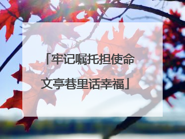 牢记嘱托担使命 文亭巷里话幸福