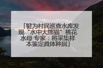 犍为村民巡查水库发现“水中大熊猫”桃花水母 专家：将采集样本鉴定具体种属