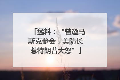猛料：“曾邀马斯克参会，美防长惹特朗普大怒”
