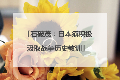 石破茂：日本须积极汲取战争历史教训