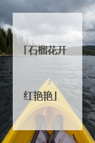石榴花开红艳艳
