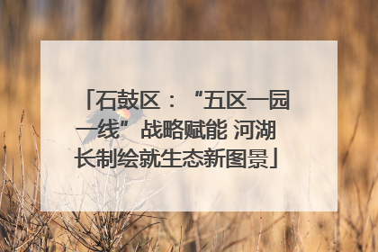 石鼓区：“五区一园一线”战略赋能 河湖长制绘就生态新图景
