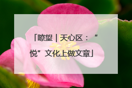 瞭望｜天心区：“悦”文化上做文章