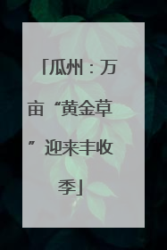 瓜州：万亩“黄金草”迎来丰收季
