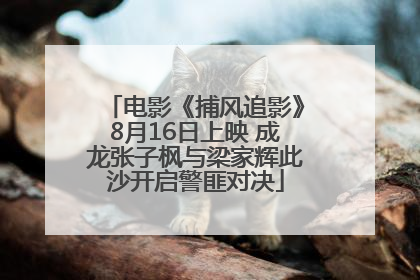 电影《捕风追影》8月16日上映 成龙张子枫与梁家辉此沙开启警匪对决