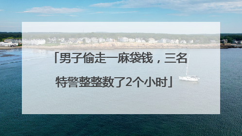男子偷走一麻袋钱，三名特警整整数了2个小时