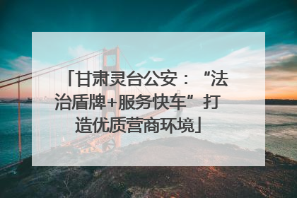 甘肃灵台公安：“法治盾牌+服务快车”打造优质营商环境