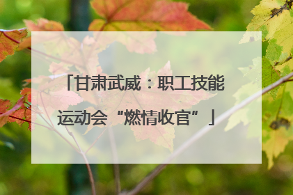 甘肃武威：职工技能运动会“燃情收官”