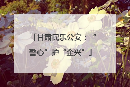 甘肃民乐公安：“警心”护“企兴”