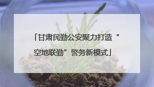 甘肃民勤公安聚力打造“空地联勤”警务新模式