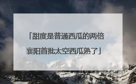 甜度是普通西瓜的两倍 襄阳首批太空西瓜熟了