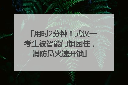用时2分钟！武汉一考生被智能门锁困住，消防员火速开锁