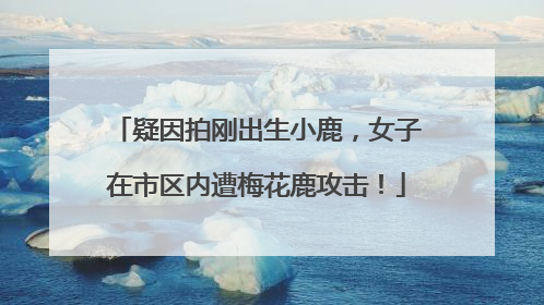 疑因拍刚出生小鹿，女子在市区内遭梅花鹿攻击！