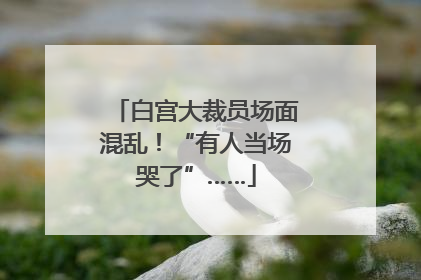 白宫大裁员场面混乱！“有人当场哭了”……