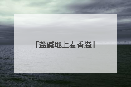 盐碱地上麦香溢