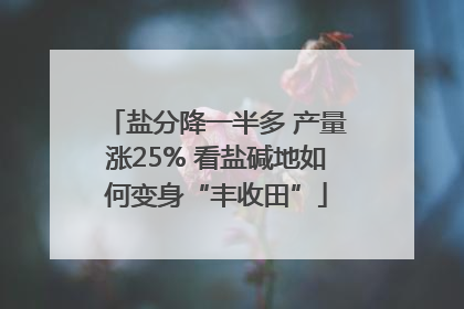盐分降一半多 产量涨25% 看盐碱地如何变身“丰收田”