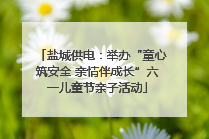 盐城供电：举办“童心筑安全 亲情伴成长”六一儿童节亲子活动