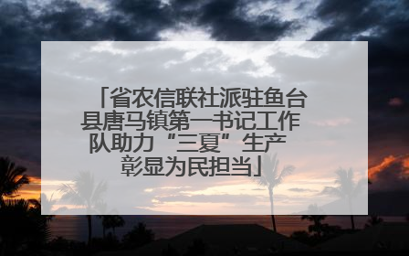 省农信联社派驻鱼台县唐马镇第一书记工作队助力“三夏”生产 彰显为民担当