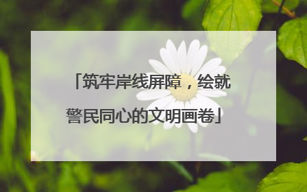 筑牢岸线屏障，绘就警民同心的文明画卷