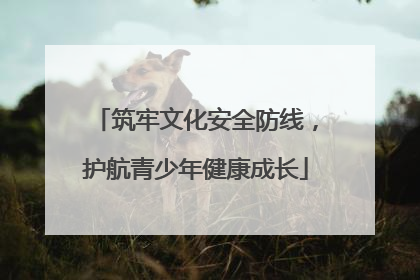 筑牢文化安全防线，护航青少年健康成长