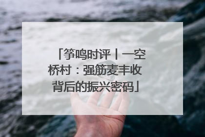 筝鸣时评丨一空桥村：强筋麦丰收背后的振兴密码