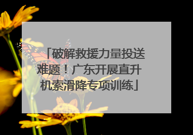 破解救援力量投送难题！广东开展直升机索滑降专项训练