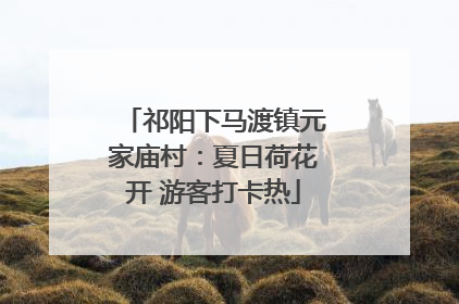 祁阳下马渡镇元家庙村：夏日荷花开 游客打卡热