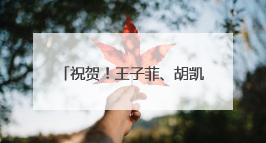 祝贺！王子菲、胡凯射击世界杯再夺冠
