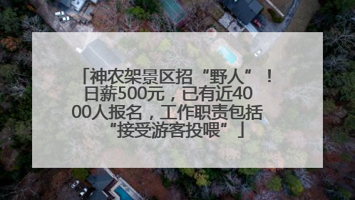 神农架景区招“野人”！日薪500元，已有近4000人报名，工作职责包括“接受游客投喂”