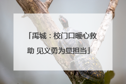 禹城：校门口暖心救助 见义勇为显担当