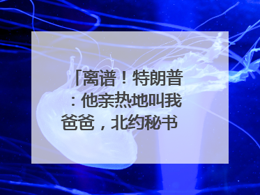 离谱！特朗普：他亲热地叫我爸爸，北约秘书长：我没有