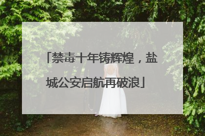 禁毒十年铸辉煌，盐城公安启航再破浪