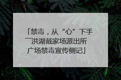 禁毒，从“心”下手――洪湖戴家场派出所广场禁毒宣传侧记