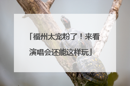福州太宠粉了！来看演唱会还能这样玩