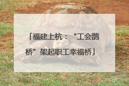 福建上杭：“工会鹊桥”架起职工幸福桥
