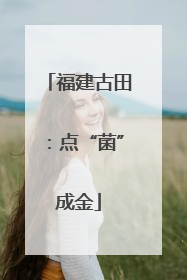福建古田：点“菌”成金