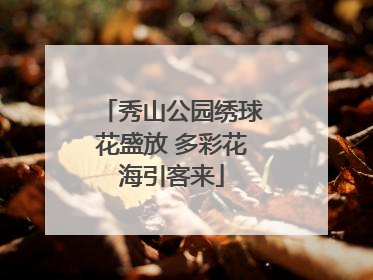 秀山公园绣球花盛放 多彩花海引客来