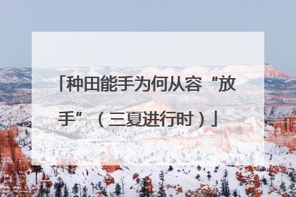 种田能手为何从容“放手”（三夏进行时）