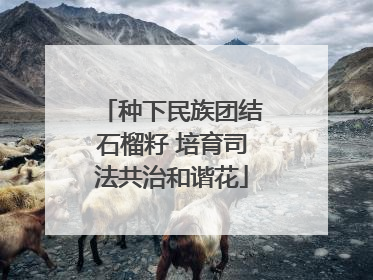 种下民族团结石榴籽 培育司法共治和谐花