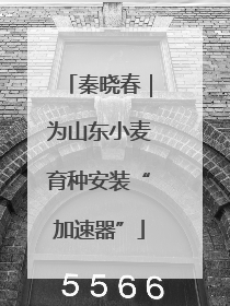 秦晓春｜为山东小麦育种安装“加速器”
