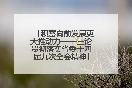 积蓄向前发展更大推动力——三论贯彻落实省委十四届九次全会精神