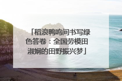 稻浪鸭鸣间书写绿色答卷：全国劳模田淑娴的田野振兴梦