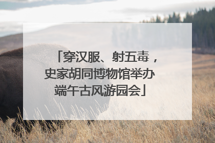 穿汉服、射五毒，史家胡同博物馆举办端午古风游园会