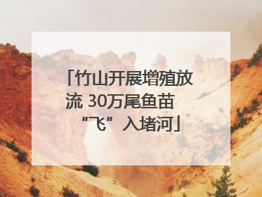 竹山开展增殖放流 30万尾鱼苗“飞”入堵河