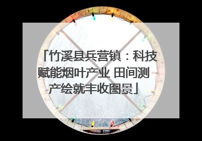 竹溪县兵营镇：科技赋能烟叶产业 田间测产绘就丰收图景