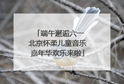 端午邂逅六一 北京怀柔儿童音乐嘉年华欢乐来啦